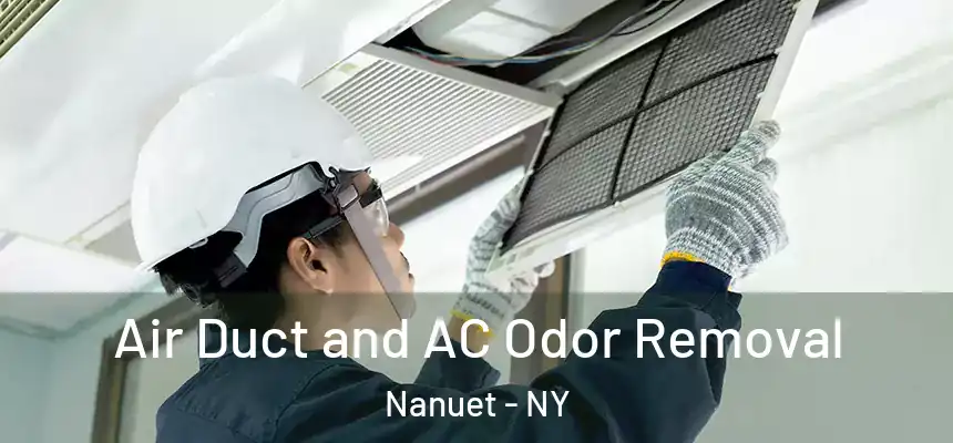  Air Duct and AC Odor Removal Nanuet - NY