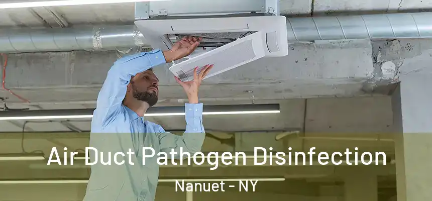  Air Duct Pathogen Disinfection Nanuet - NY