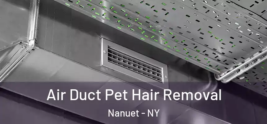  Air Duct Pet Hair Removal Nanuet - NY