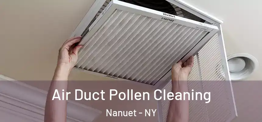  Air Duct Pollen Cleaning Nanuet - NY