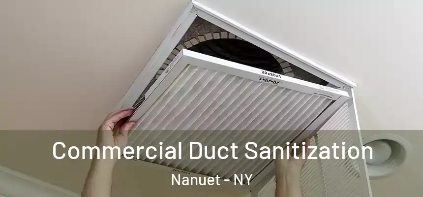  Commercial Duct Sanitization Nanuet - NY