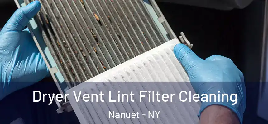  Dryer Vent Lint Filter Cleaning Nanuet - NY