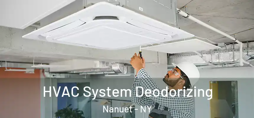  HVAC System Deodorizing Nanuet - NY