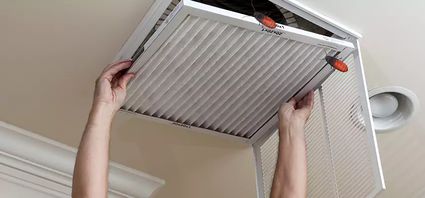 Preventive Cockroach-Proofing for Ducts in Nanuet