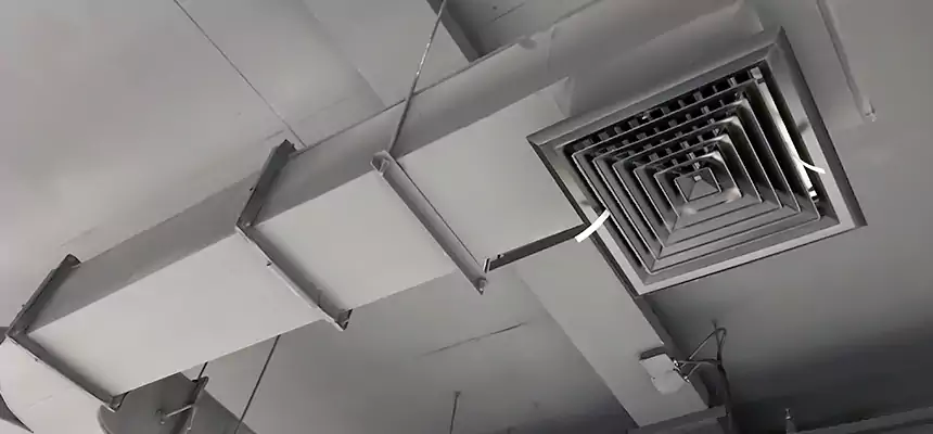 Restorative Allergy Relief Vent Cleaning – Coil, Blower & Housing Detail in Nanuet