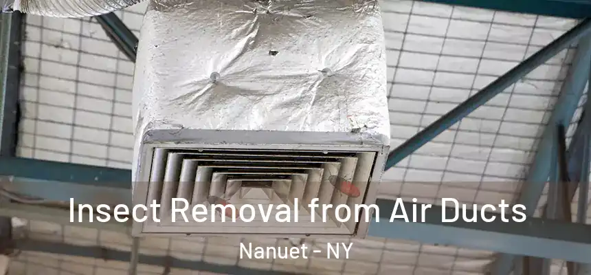 Insect Removal from Air Ducts Nanuet - NY