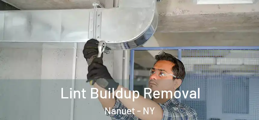  Lint Buildup Removal Nanuet - NY