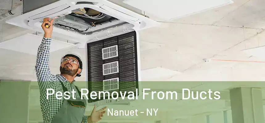  Pest Removal From Ducts Nanuet - NY