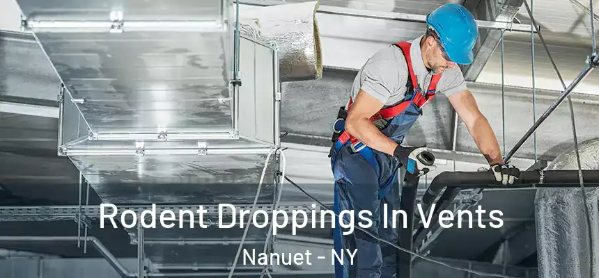  Rodent Droppings In Vents Nanuet - NY