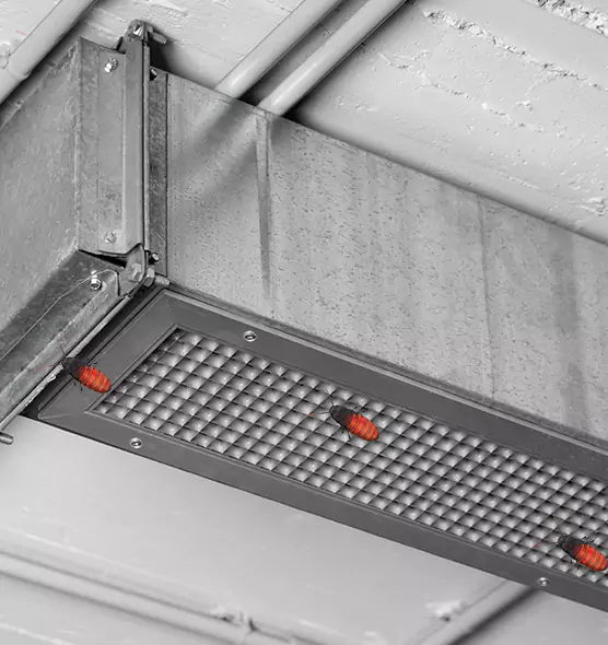 About Air Duct Cockroach Removal in Nanuet, NY
