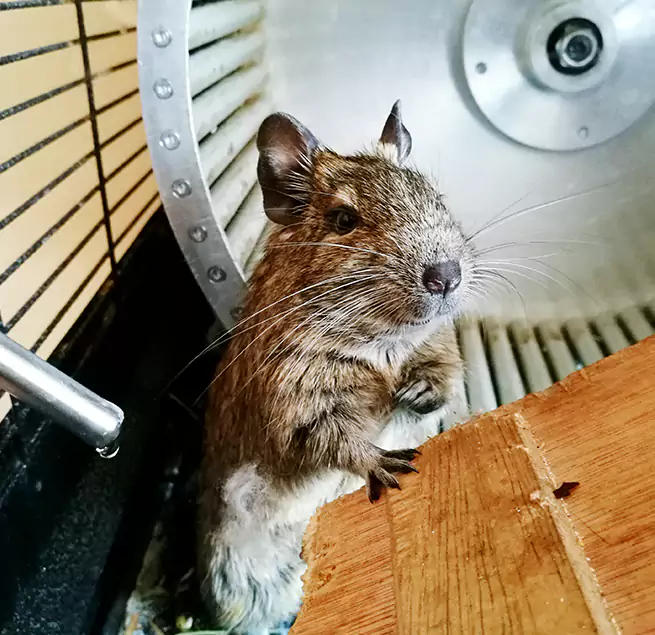 Why Homeowners & Businesses Trust Us Nanuet, NY